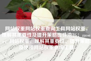 网站权重网站权重查询工具网站权重，理解其重要性及提升策略蜘蛛池TG：zzcseo，网站权重，理解其重要性、提升策略及使用网站权重查询工具