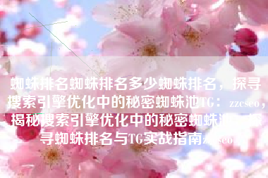 蜘蛛排名蜘蛛排名多少蜘蛛排名，探寻搜索引擎优化中的秘密蜘蛛池TG：zzcseo，揭秘搜索引擎优化中的秘密蜘蛛池，探寻蜘蛛排名与TG实战指南zzcseo