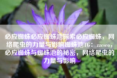 必应蜘蛛必应蜘蛛池探索必应蜘蛛，网络爬虫的力量与影响蜘蛛池TG：zzcseo，必应蜘蛛与蜘蛛池的秘密，网络爬虫的力量与影响