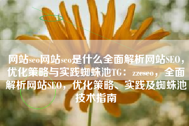 网站seo网站seo是什么全面解析网站SEO，优化策略与实践蜘蛛池TG：zzcseo，全面解析网站SEO，优化策略、实践及蜘蛛池技术指南