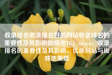 收录排名收录排名好的网站收录排名的重要性及其影响蜘蛛池TG：zzcseo，收录排名的重要性及其影响，优质网站与蜘蛛池策略