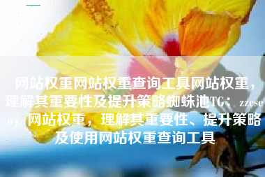 网站权重网站权重查询工具网站权重，理解其重要性及提升策略蜘蛛池TG：zzcseo，网站权重，理解其重要性、提升策略及使用网站权重查询工具