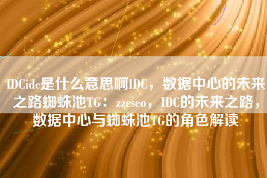 IDCidc是什么意思啊IDC，数据中心的未来之路蜘蛛池TG：zzcseo，IDC的未来之路，数据中心与蜘蛛池TG的角色解读