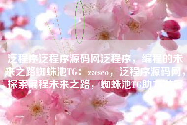 泛程序泛程序源码网泛程序，编程的未来之路蜘蛛池TG：zzcseo，泛程序源码网，探索编程未来之路，蜘蛛池TG助力发展