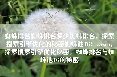 蜘蛛排名蜘蛛排名多少蜘蛛排名，探索搜索引擎优化的秘密蜘蛛池TG：zzcseo，探索搜索引擎优化秘密，蜘蛛排名与蜘蛛池TG的秘密