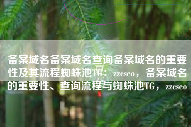 备案域名备案域名查询备案域名的重要性及其流程蜘蛛池TG：zzcseo，备案域名的重要性、查询流程与蜘蛛池TG，zzcseo