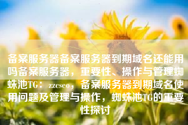 备案服务器备案服务器到期域名还能用吗备案服务器，重要性、操作与管理蜘蛛池TG：zzcseo，备案服务器到期域名使用问题及管理与操作，蜘蛛池TG的重要性探讨