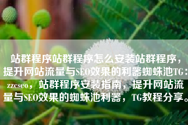 站群程序站群程序怎么安装站群程序，提升网站流量与SEO效果的利器蜘蛛池TG：zzcseo，站群程序安装指南，提升网站流量与SEO效果的蜘蛛池利器，TG教程分享。