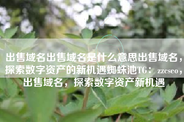 出售域名出售域名是什么意思出售域名，探索数字资产的新机遇蜘蛛池TG：zzcseo，出售域名，探索数字资产新机遇