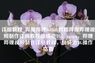 详细教程_哔哩哔哩bilibili教程哔哩哔哩视频制作详细教程蜘蛛池TG：zzcseo，哔哩哔哩视频制作详细教程，蜘蛛池TG操作指南