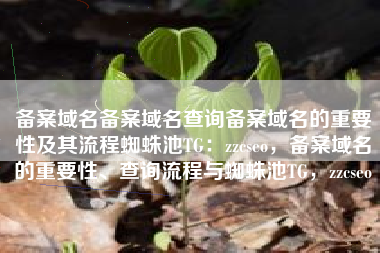 备案域名备案域名查询备案域名的重要性及其流程蜘蛛池TG：zzcseo，备案域名的重要性、查询流程与蜘蛛池TG，zzcseo