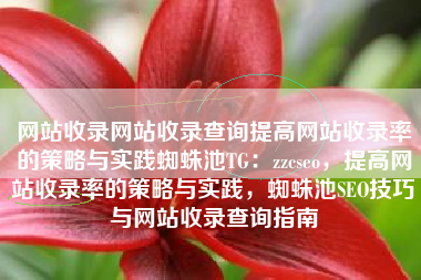 网站收录网站收录查询提高网站收录率的策略与实践蜘蛛池TG：zzcseo，提高网站收录率的策略与实践，蜘蛛池SEO技巧与网站收录查询指南