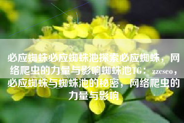 必应蜘蛛必应蜘蛛池探索必应蜘蛛，网络爬虫的力量与影响蜘蛛池TG：zzcseo，必应蜘蛛与蜘蛛池的秘密，网络爬虫的力量与影响