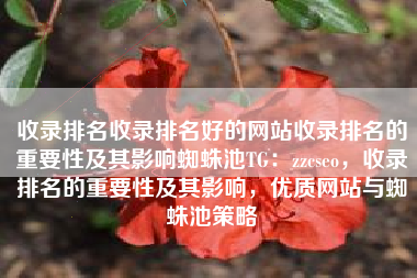 收录排名收录排名好的网站收录排名的重要性及其影响蜘蛛池TG：zzcseo，收录排名的重要性及其影响，优质网站与蜘蛛池策略