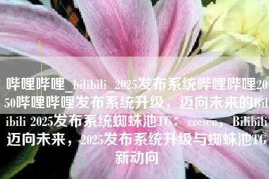 哔哩哔哩_bilibili_2025发布系统哔哩哔哩2050哔哩哔哩发布系统升级，迈向未来的Bilibili 2025发布系统蜘蛛池TG：zzcseo，Bilibili迈向未来，2025发布系统升级与蜘蛛池TG新动向