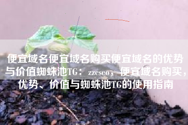 便宜域名便宜域名购买便宜域名的优势与价值蜘蛛池TG：zzcseo，便宜域名购买，优势、价值与蜘蛛池TG的使用指南