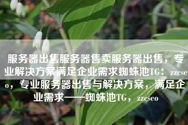 服务器出售服务器售卖服务器出售，专业解决方案满足企业需求蜘蛛池TG：zzcseo，专业服务器出售与解决方案，满足企业需求——蜘蛛池TG，zzcseo