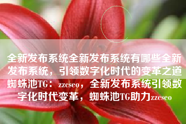 全新发布系统全新发布系统有哪些全新发布系统，引领数字化时代的变革之道蜘蛛池TG：zzcseo，全新发布系统引领数字化时代变革，蜘蛛池TG助力zzcseo