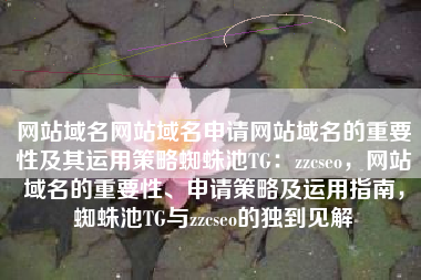 网站域名网站域名申请网站域名的重要性及其运用策略蜘蛛池TG：zzcseo，网站域名的重要性、申请策略及运用指南，蜘蛛池TG与zzcseo的独到见解