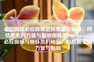 必应蜘蛛必应蜘蛛池探索必应蜘蛛，网络爬虫的力量与影响蜘蛛池TG：zzcseo，必应蜘蛛与蜘蛛池的秘密，网络爬虫的力量与影响