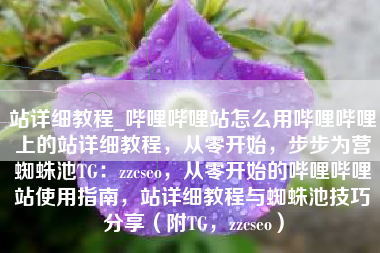 站详细教程_哔哩哔哩站怎么用哔哩哔哩上的站详细教程，从零开始，步步为营蜘蛛池TG：zzcseo，从零开始的哔哩哔哩站使用指南，站详细教程与蜘蛛池技巧分享（附TG，zzcseo）