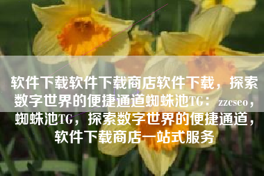 软件下载软件下载商店软件下载，探索数字世界的便捷通道蜘蛛池TG：zzcseo，蜘蛛池TG，探索数字世界的便捷通道，软件下载商店一站式服务