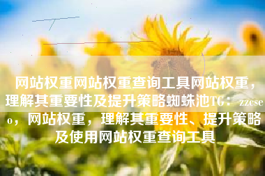 网站权重网站权重查询工具网站权重，理解其重要性及提升策略蜘蛛池TG：zzcseo，网站权重，理解其重要性、提升策略及使用网站权重查询工具