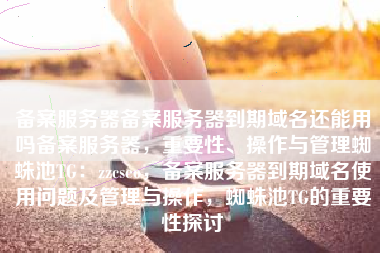 备案服务器备案服务器到期域名还能用吗备案服务器，重要性、操作与管理蜘蛛池TG：zzcseo，备案服务器到期域名使用问题及管理与操作，蜘蛛池TG的重要性探讨