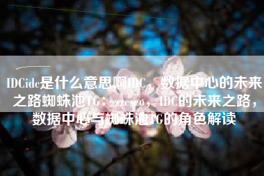 IDCidc是什么意思啊IDC，数据中心的未来之路蜘蛛池TG：zzcseo，IDC的未来之路，数据中心与蜘蛛池TG的角色解读