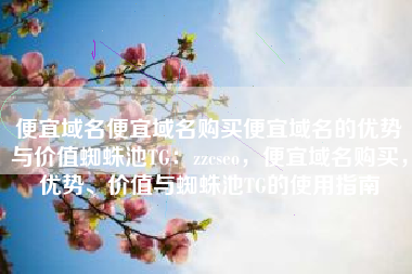 便宜域名便宜域名购买便宜域名的优势与价值蜘蛛池TG：zzcseo，便宜域名购买，优势、价值与蜘蛛池TG的使用指南