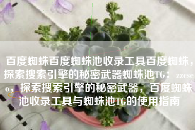 百度蜘蛛百度蜘蛛池收录工具百度蜘蛛，探索搜索引擎的秘密武器蜘蛛池TG：zzcseo，探索搜索引擎的秘密武器，百度蜘蛛池收录工具与蜘蛛池TG的使用指南