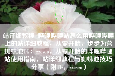 站详细教程_哔哩哔哩站怎么用哔哩哔哩上的站详细教程，从零开始，步步为营蜘蛛池TG：zzcseo，从零开始的哔哩哔哩站使用指南，站详细教程与蜘蛛池技巧分享（附TG，zzcseo）