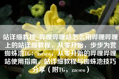 站详细教程_哔哩哔哩站怎么用哔哩哔哩上的站详细教程，从零开始，步步为营蜘蛛池TG：zzcseo，从零开始的哔哩哔哩站使用指南，站详细教程与蜘蛛池技巧分享（附TG，zzcseo）