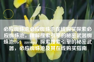 必应蜘蛛池必应蜘蛛池在线购买探索必应蜘蛛池，理解搜索引擎的秘密武器蜘蛛池TG：zzcseo，探索搜索引擎的秘密武器，必应蜘蛛池及其在线购买指南