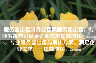 服务器出售服务器售卖服务器出售，专业解决方案满足企业需求蜘蛛池TG：zzcseo，专业服务器出售与解决方案，满足企业需求——蜘蛛池TG，zzcseo