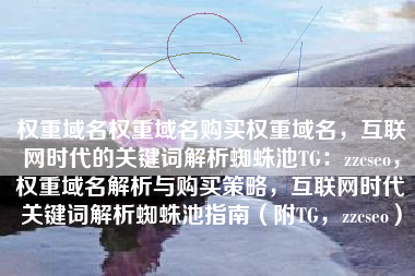 权重域名权重域名购买权重域名，互联网时代的关键词解析蜘蛛池TG：zzcseo，权重域名解析与购买策略，互联网时代关键词解析蜘蛛池指南（附TG，zzcseo）