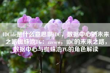 IDCidc是什么意思啊IDC，数据中心的未来之路蜘蛛池TG：zzcseo，IDC的未来之路，数据中心与蜘蛛池TG的角色解读
