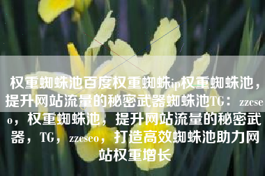 权重蜘蛛池百度权重蜘蛛ip权重蜘蛛池，提升网站流量的秘密武器蜘蛛池TG：zzcseo，权重蜘蛛池，提升网站流量的秘密武器，TG，zzcseo，打造高效蜘蛛池助力网站权重增长