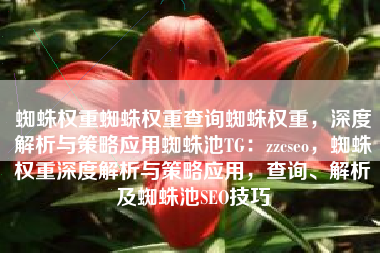 蜘蛛权重蜘蛛权重查询蜘蛛权重，深度解析与策略应用蜘蛛池TG：zzcseo，蜘蛛权重深度解析与策略应用，查询、解析及蜘蛛池SEO技巧
