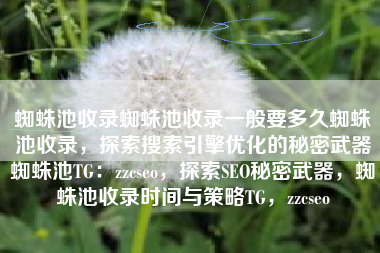 蜘蛛池收录蜘蛛池收录一般要多久蜘蛛池收录，探索搜索引擎优化的秘密武器蜘蛛池TG：zzcseo，探索SEO秘密武器，蜘蛛池收录时间与策略TG，zzcseo