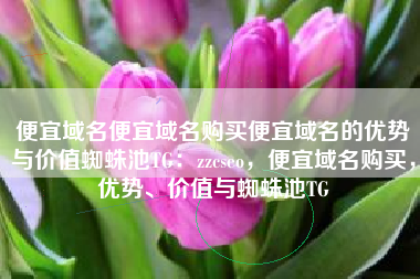 便宜域名便宜域名购买便宜域名的优势与价值蜘蛛池TG：zzcseo，便宜域名购买，优势、价值与蜘蛛池TG