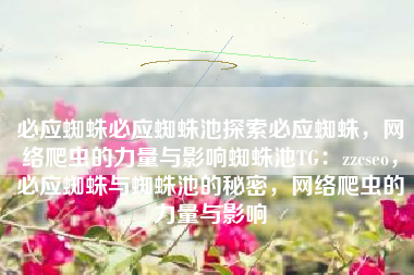 必应蜘蛛必应蜘蛛池探索必应蜘蛛，网络爬虫的力量与影响蜘蛛池TG：zzcseo，必应蜘蛛与蜘蛛池的秘密，网络爬虫的力量与影响