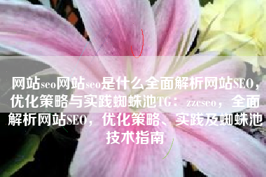 网站seo网站seo是什么全面解析网站SEO，优化策略与实践蜘蛛池TG：zzcseo，全面解析网站SEO，优化策略、实践及蜘蛛池技术指南