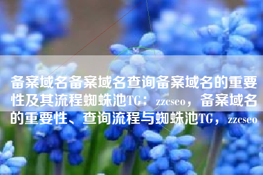 备案域名备案域名查询备案域名的重要性及其流程蜘蛛池TG：zzcseo，备案域名的重要性、查询流程与蜘蛛池TG，zzcseo