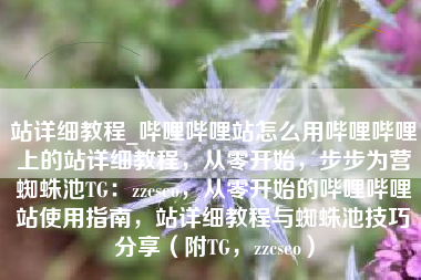 站详细教程_哔哩哔哩站怎么用哔哩哔哩上的站详细教程，从零开始，步步为营蜘蛛池TG：zzcseo，从零开始的哔哩哔哩站使用指南，站详细教程与蜘蛛池技巧分享（附TG，zzcseo）