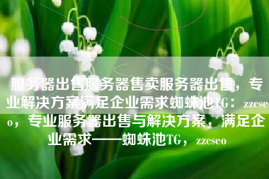 服务器出售服务器售卖服务器出售，专业解决方案满足企业需求蜘蛛池TG：zzcseo，专业服务器出售与解决方案，满足企业需求——蜘蛛池TG，zzcseo