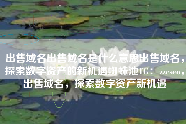 出售域名出售域名是什么意思出售域名，探索数字资产的新机遇蜘蛛池TG：zzcseo，出售域名，探索数字资产新机遇