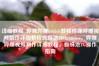 详细教程_哔哩哔哩bilibili教程哔哩哔哩视频制作详细教程蜘蛛池TG：zzcseo，哔哩哔哩视频制作详细教程，蜘蛛池TG操作指南