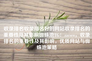 收录排名收录排名好的网站收录排名的重要性及其影响蜘蛛池TG：zzcseo，收录排名的重要性及其影响，优质网站与蜘蛛池策略