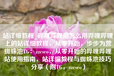 站详细教程_哔哩哔哩站怎么用哔哩哔哩上的站详细教程，从零开始，步步为营蜘蛛池TG：zzcseo，从零开始的哔哩哔哩站使用指南，站详细教程与蜘蛛池技巧分享（附TG，zzcseo）